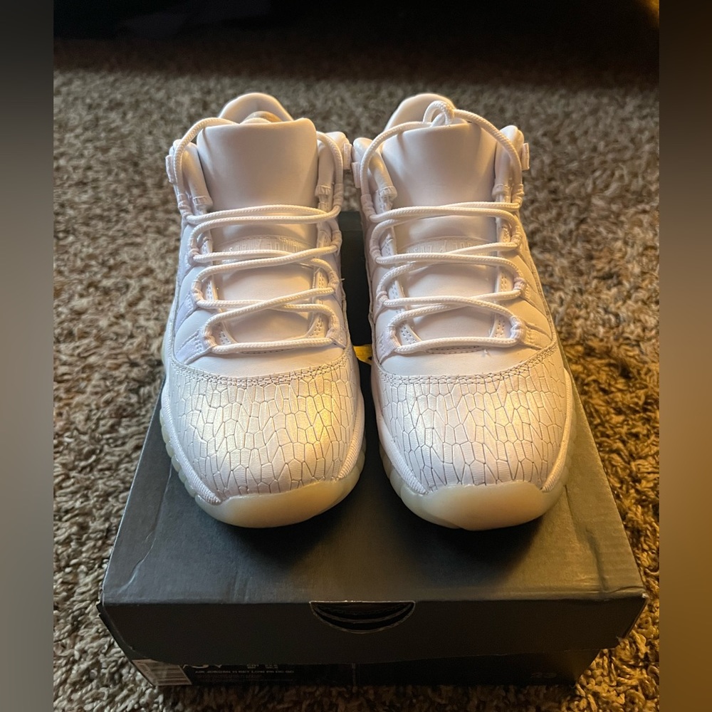 Retro Jordan 11